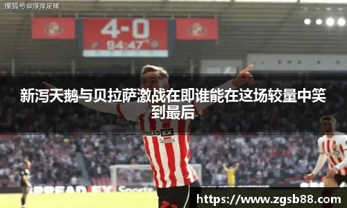 新泻天鹅与贝拉萨激战在即谁能在这场较量中笑到最后